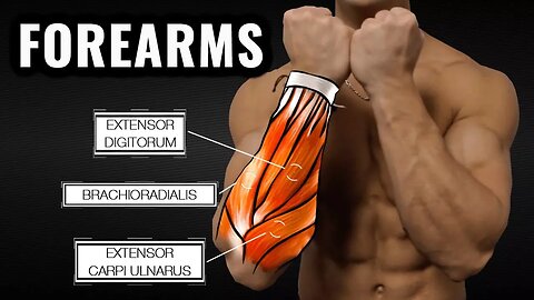 The Best Science-Based Forearm Workout for Size and Strength