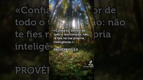 Provérbios 3:5 #canalyausha