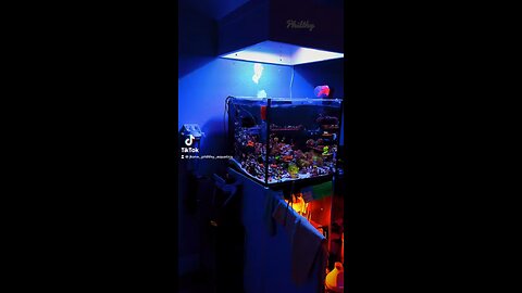 REDSEA REEFER XL200