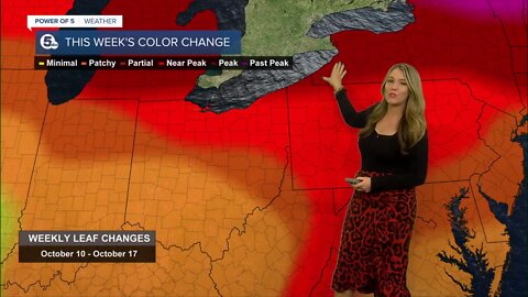 The science behind fall foliage