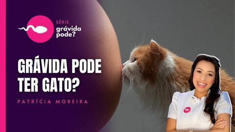 GRÁVIDA PODE TER GATO? O que acontece se for infectada com a TOXOPLASMOSE? | Boa Gravidez