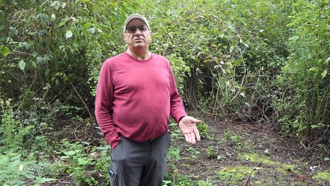 Arnold Park Homeless riling up Vancouver neighbors