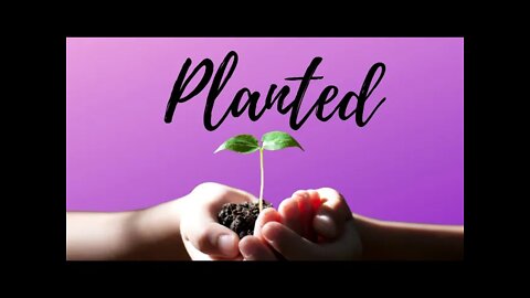 Planted