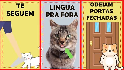 8 COMPORTAMENTOS ESTRANHOS DE GATOS EXPLICADOS - links na descrição