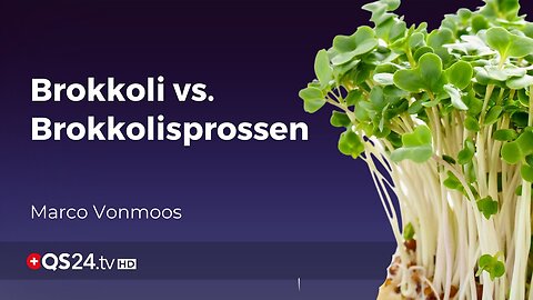 Brokkolisprossen haben 100 Mal mehr Sulforaphane, als ausgewachsene Brokkoli