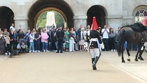 The kings guard the blues and royals 10 September 2022 #horseguardsparade