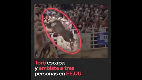 Toro escapa en medio de rodeo y hiere a tres personas en EE.UU.