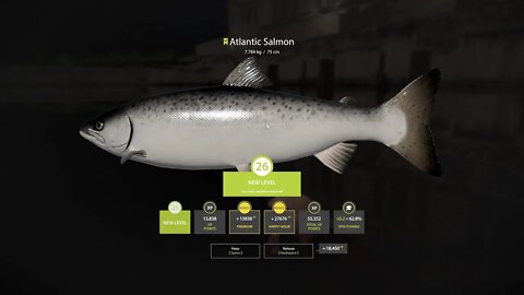 Russian Fishing 4 Volkhov River Atlantic Salmon 7 . 784 Kg