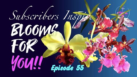 SUBSCRIBERS INSPIRE| You color my life | Blooms for YOU! Episode 55 🌸🌺🌼💐#Orchids #OrchidsinBloom