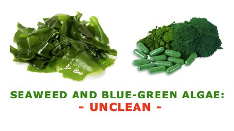 SEAWEED AND BLUE-GREEN ALGAE: UNCLEAN