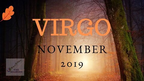 VIRGO: You Take Instruction and Move in the Flow * November