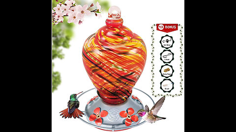 Grateful Gnome - Hummingbird Feeder - Hand Blown Glass - Speckled Egg 28 Fluid Ounces Free Bonu...