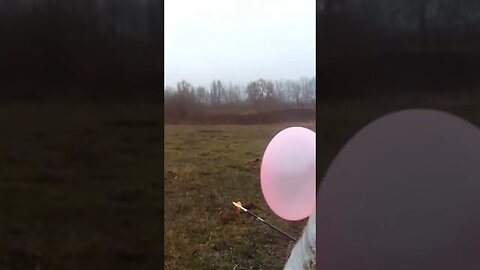 ARCHERY: 80 meter BALLOON SHOT