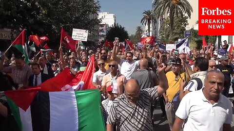 A Pro-Palestinian Demonstration Is Held In Tunisia