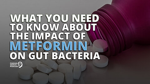 What You Need to Know About the Impact of Metformin on Gut Bacteria