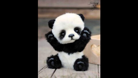 Cute Baby Pandas Playing Compilation - TRY NOT TO LAUGH!