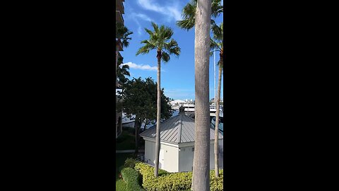 Livestream Replay 9/22/2023- A1A Central Beach