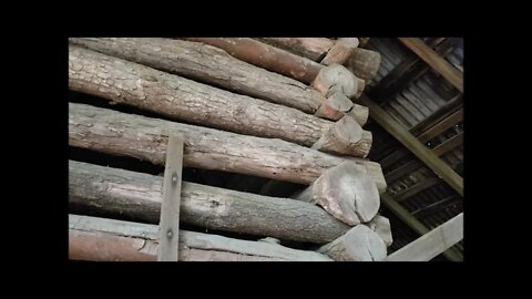 Deep woods abandoned barn exploration! Old cabin found inside barn!