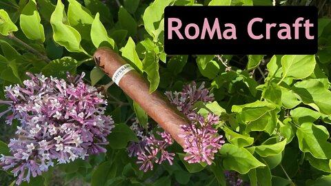 RoMa Craft Intemperance BA XXI cigar discussion