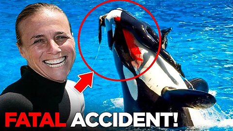 This Killer Whale KILLED Her Trainer Dawn Brancheau Infront Of Her Family