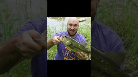 STEALING her PERSONAL BEST largemouth!!! (short version)