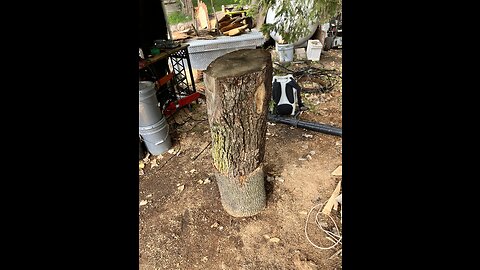 Chainsaw carving eagle