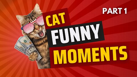 CAT FUNNY MOMENTS | PART 1