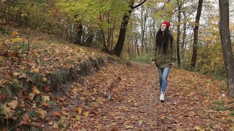 Lovely woman enjoying walk with her dop in forest