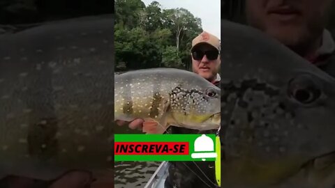 pescaria tucunaré pesca #shortsvideos