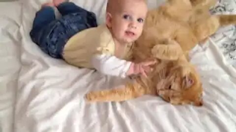 Cats Meeting Babies for the FIRST Time Compilation