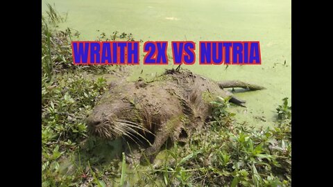 Sightmark Wraith 2X vs Nutria #sightmarkwraith