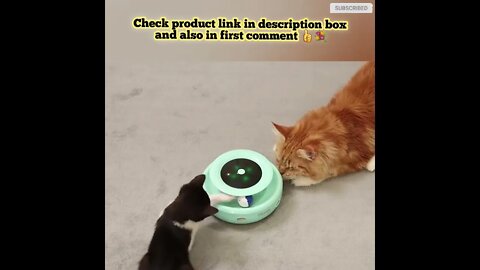 Cat toys 😺 funny videos😹 871 😻#shorts #cutecat #catvideos #catproduct #shortsfunny #catscare #cats