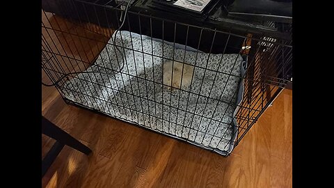 Review Dog Bed for Large Dogs, Pet Beds Plush Fulffy Mat Pad for Dog Crate with Non-Slip Bottom...