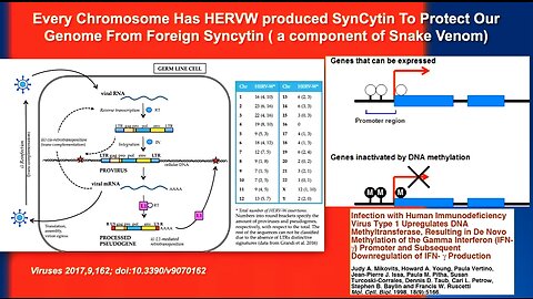 Dr. Judy Mikovits | "Everybody Is Worried About These Shots Getting Into You DNA"