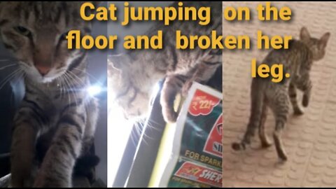 Cat jumping on the floor and broken her leg 🦵 😢