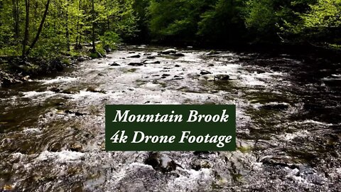 Mountain Brook and a Fallen Tree - 4K UHD Drone Video in Nature