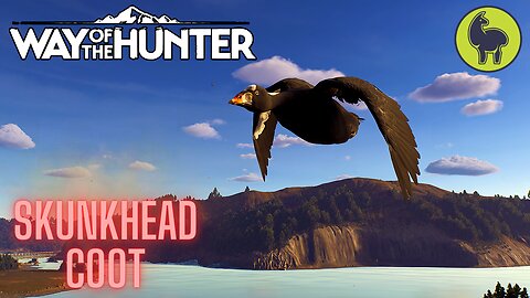 Skunkhead Coot, Aurora Shores | Way of the Hunter (PS5 4K)