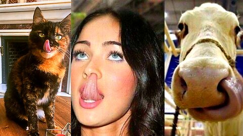 Funniest Dogs And Cats Videos ?? - Best Funny Animal Videos 2023 ?? #15