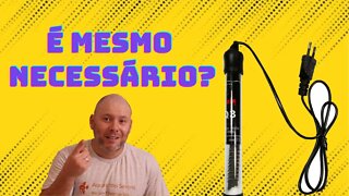 🔥 Aquecedor é Mesmo Necessário Sempre ? [ CORTES ]