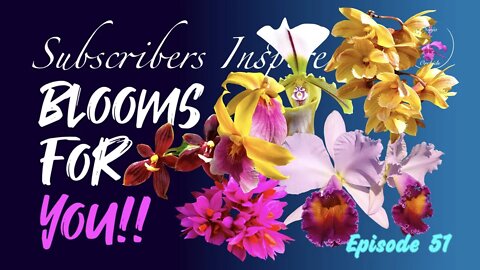 SUBSCRIBERS INSPIRE| You color my life | Blooms for YOU! Episode 51 🌸🌺🌼💐#Orchids #OrchidsinBloom