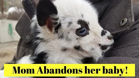 Mom Abandons her baby!