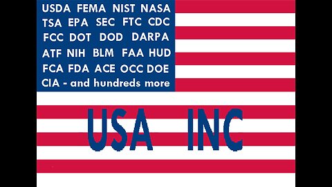 Here is the basic breakdown of the US corporate government.