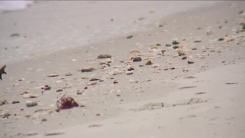 Clam Pass Beach reopens to visitors as some remain wary of post Ian water