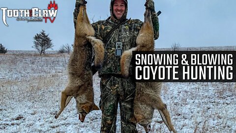 Snowing and Blowing - Coyote Hunting