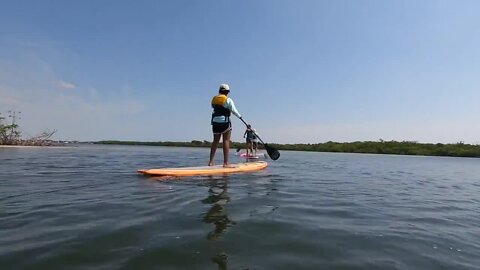 John D. MacArthur Beach State Park aims to educate future generations via exploration