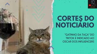 "GATINHO DA TAÇA" DO TIKTOK É INDICADO AO OSCAR DOS INFLUENCERS (CORTES DO NOTICIÁRIO)