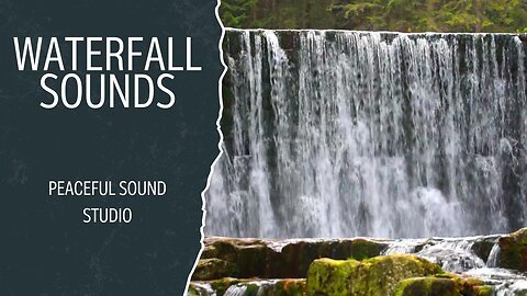 Waterfall Sounds for Concentration In the Morning Forest