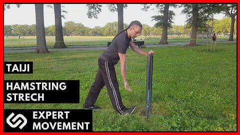 How To Hamstring Stretch ☯ Stretching Basics for Taiji Chuan ~ Tai Chi