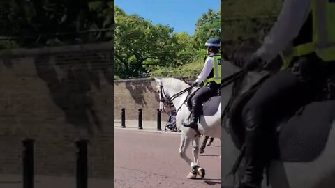 Dont follow the Horse #metpolice