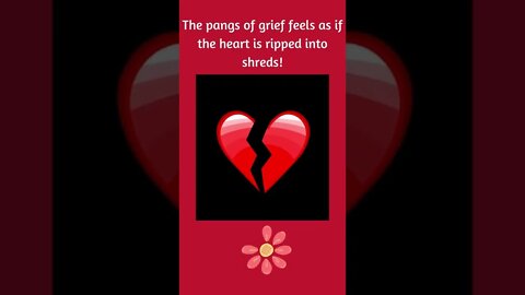 Pain Felt When A Beloved Person or Pet Dies!